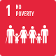 UNSDG icon